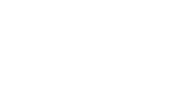 Demo Business Coaching